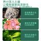 Plant Rejuvenation Liquid Flower Green Plant Rose Money Tree Special Concentrated Nutrient Solution Yellowing and Falling Leaves Rapid Rooting Liquid Shunhui Yuanfeng Resurrection Liquid 50ml 1 bottle + dripper