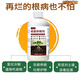 Root rot inhibitor, dead trees, stiff seedlings, disease resistance, rapid root strengthening, damping off and rotten roots, purifying soil, water-soluble fertilizer, 300ml root rot inhibitor supplement solution