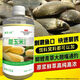 Sweet corn wild fishing grass carp high concentration barley sweet potato fishing black pit small medicine fruit acid red worm crucian carp bait highly concentrated sweet corn 500ml 3 bottles