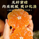 Jingmi Zhejiang Taizhou Yongquan Mandarine, Nettogewicht 2,5 Jin Jin entspricht 0,5 kg, Einzelfrucht 55 mm+, Zitrusfrucht-Geschenkbox, direkt von der Quelle