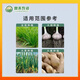 Garlic planting special early rooting and fast rooting seedlings to improve nutrition garlic Kangbacteria microbial agent prevention Garlic Bacteria Genuine original 500g * 1 bottle