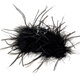 Qlady Black Swan Shark Clip Hair Accessories Feather Clip High-end Hair Clip Women's Back of Head 2025 New High-end Headwear