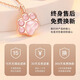 Central Chuang Fashion Chinese Gold and Silver Necklace for Girls Light Luxury Niche High-end Girl Birthday Gift for Lady Girlfriend Best Friend S925