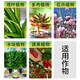 Plant Rejuvenation Liquid Flower Green Plant Rose Money Tree Special Concentrated Nutrient Solution Yellowing and Falling Leaves Rapid Rooting Liquid Shunhui Yuanfeng Resurrection Liquid 50ml 1 bottle + dripper
