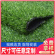 Simulated lawn carpet, artificial artificial turf, green outdoor decoration, fake grass plastic mat, balcony kindergarten, 2cm thickened spring grass (1.5m wide*25m long
