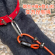 Spico dog chain traction rope P rope explosion-proof, waterproof, anti-biting steel wire P chain modified dog leash for walking large dogs dog training rope Upgraded universal wheel foam handle - black Rope thickness 5mm * Rope length 150cm Recommended 5-150 Jin Jin equals 0.5 kg