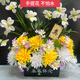 Jingga grave-sweeping fake flowers go to the grave and sweep the graves in front of the gravestones silk flowers fake flowers Qingming Festival sacrificial flowers plastic simulated chrysanthemum bouquet display basket_with leaves_white freesia plus yellow and white chrysanthemum plus white purple_height 55 cm wide 60