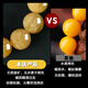 Shi Yue jewelry collection grade natural raw mineral beeswax single bead loose bead accessories full of honey chicken fat yellow demon flower white nectar 10-11mm