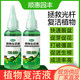 Plant Rejuvenation Liquid Flower Green Plant Rose Money Tree Special Concentrated Nutrient Solution Yellowing and Falling Leaves Rapid Rooting Liquid Shunhui Yuanfeng Resurrection Liquid 50ml 1 bottle + dripper