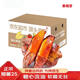 Jingdida Shandong Authentic Tobacco No. 25 Sweet Potato, Net Weight 5Jin Jin is equal to 0.5kg, Medium Fruit 100g+ Roasted Sweet Potato Vegetables Directly from the Source