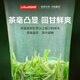 Lepinle Tea Special Grade Mingqian Young Bud Biluochun Green Tea 2025 New Tea Spring Tea Gift Box for yourself to drink and get a gift bag 250g