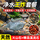 Nutrient soil volcanic stone stream stone fish tank landscaping decoration package native aquarium special bottom sand paving particles finely screened volcanic stone 6-12mm5Jin Jin is equal to 0.5kg