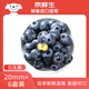 Jingxiansheng Peruvian Blueberry Big Mac 20mm+ 6 boxes 125g/box fresh fruit straight from the source