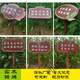 Customized outdoor greening signs, lawn billboards, care for flowers and grass prompts, warning signs, placards, lawn signs, ready-made flower and grass signs-14 20x30cm