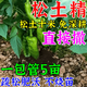 Jiayan loosening essence soil activator black water fertilizer requires no deep tillage to prevent hardening and improve loose soil artifact loosening agent 1000g buy three for five