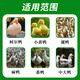 Duck feed for ducks, medium and large duck feed for small ducks, large grains of meat ducks for laying eggs, ducks, chickens and geese for nesting, duck and chicken feed 0.11Jin Jin is equal to 0.5kg, about 55g in hand