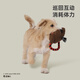 Huayuan Pet Tools (hoopet) Tamajun co-branded puppy self-pleasure relief molar tug-of-war wear-resistant bite-resistant rope knot interactive sound toy