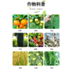 Holite Bebiga 40% benzopyrazole ester grape fruit tree vegetable powdery mildew anthracnose rust pesticide fungicide