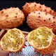 Authentic Fire Ginseng Fruit Seeds, African Honeydew Melon Seeds, Horned Melon Seeds, Mars Fruit Seeds, Sea Cucumber Fruit Special Fruit Seeds, Fire Ginseng Fruit Seeds/pack of about 25 capsules, 1 pack