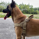 Suomila dog explosion-proof tactical harness vest-type leash dog leash golden retriever German shepherd large dog Khaki L