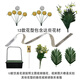 Jingga Tomb Sweeping Artificial Flowers Qingming Festival Flower Baskets Tomb Sweeping Flowers Sacrifice Artificial Flower Supplies Bouquets for Martyrs Cemetery Sacrifice Flowers 12 Styles of Silk Flower Baskets + Ribbons