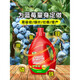 LDVEP special fertilizer for blueberries, organic nutrient solution for plant pots, general aqueous liquid fertilizer for rooting, strengthening seedlings and curing yellow leaves, upgraded version, special nutrient solution for blueberries 500ml*3