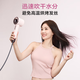 One s Member Store (One s Member) No. 1 Member Store High-speed Hair Dryer Household Negative Ion Hair Care Hair Dryer Quick-drying High-Power Dryer Gift Recommendation Gift Box Edition