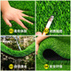 Qingya simulated lawn carpet, fake turf bedding, plastic outdoor artificial court, artificial fence, kindergarten green floor mat, 2cm, newly upgraded 15-pin special-grade extra-dense quality guaranteed S-class model (2 meters wide, 1 meter long) 2 square meters (up to 25m, how long do you need to take a few pieces)
