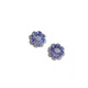 Fat Donglai's same model of tanzanite earrings, natural women's s925 silver inlaid with colored gemstones, amethyst flowers, atmospheric and cool tanzanite s925 silver earrings, white gold pair + white ear plugs