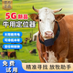 Frame Craftsman's new 5G cattle and sheep tracking artifact GPS locator for grazing mountainous areas, dedicated to finding animals, horses, camels, Beidou anti-J 5G new 3.5W mAh + solar two-charge + fast positioning without offline
