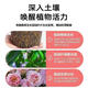 Plant bursting hormone, budding hormone, succulent leaf inserts, bud-promoting germination, household flower growing fertilizer, old pile plant clear leaf fertilizer, old pile dry yellow leaves first aid, new buds grow, 1 barrel 2500ml