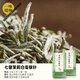 Shi Fang Yi 8 types of master jasmine, nine-seam jasmine tea, golden needles, strong fragrance trial pack, new tea, Hengxian jasmine, great value for tasting, 9-seam jasmine, golden needles 4gx3 pack