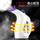 Aite Garment Ironing Machine Household Small Mini Electric Iron Ironing Steam Ironing Machine Portable Hanging Iron Purple Economical Model