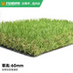 Co-Create Lawn Artificial Turf Courtyard Kindergarten Golf Simulated Turf Garden Gym School Rooftop Fake Lawn Villa 60mm Thickened Encrypted Ordinary Style