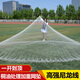 Fishing net, hand-thrown net, old-fashioned hand-thrown strong horse line, line fishing net, traditional hand-thrown net, spin net, lead drop fishing, 1.5-finger thickened tire line, line 3.5 meters high, 7 Jin Jin is equal to 0.5 kg, steel drop
