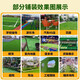Simulated lawn, artificial artificial plastic, fake turf carpet, green fence decoration, bedding, balcony outdoor kindergarten, 3 cm light luxury high-quality spring grass, 98% of customers choose it, 3 meters wide, 5 meters long