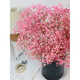 Jatu Dace Festival Dried Flowers Everlasting Gypsophila Real Flowers Home Wedding Decoration Flower Arrangement Window Soft Decoration Landscaping Dream Star Yunnan Straight Everlasting Gypsophila Light Pink About 420g