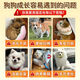 Baichan Zhongjia De Dog Snacks Full Price Staple Food Dog Snacks Nutritious Calcium Supplements Hair Beautification Hair Fattening Hydration Dog Wet Food Pack Bibimbap Chicken + Goat Milk Formula Enhance Immunity_Fat Fattening Hair Cheeks 3 Count_Trial Type