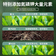 Deli Nutrient Soil Universal Flower Soil Succulent Orchid Soil Peat Soil Planting Soil Flower Vegetable Potting Soil 15L