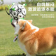 Huanpet.com Pet Dog Toy Football Bite-resistant Molar Ball Puppy Border Collie Bichon Golden Retriever Large Self-Playing Boredom Relief Artifact