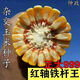 999 corn seeds, short stems, extra large sticks, red shafts, disease-resistant, drought-resistant, lodging-resistant corn seeds, nationally approved corn seeds, Zhengda 999 original two packs of two Jin Jin equal to 0.5 kg