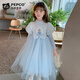 Piggy Banner (PEPCO) Mädchen Elsa Prinzessin Kleid Winterkleidung Kinder Modischer Winter Mädchen Elsa Rock Herbstkleid Blau 110