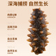 Ready-to-eat sea cucumbers Ready-to-eat Dalian sea cucumbers single pack Liao sea cucumbers and dried sea cucumbers aquatic products gift box net content 500g Dalian ready-to-eat sea cucumbers 20-30 heads/Jin Jin is equal to 0.5 kg One Jin Jin is equal to 0.5 kg Early adopter pack