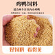 Duck feed for ducks, medium and large duck feed for small ducks, large grains of meat ducks for laying eggs, ducks, chickens and geese for nesting, duck and chicken feed 0.11Jin Jin is equal to 0.5kg, about 55g in hand