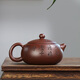 Zanghu Tianxia authentic Yixing purple clay teapot pure handmade purple clay tea set household teapot Lanyan Xishi