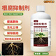 Root rot inhibitor, dead trees, stiff seedlings, disease resistance, rapid root strengthening, damping off and rotten roots, purifying soil, water-soluble fertilizer, 300ml root rot inhibitor supplement solution