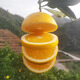 Sweet and courteous authentic Mayang rock sugar orange fresh jelly sweet orange fruit Hunan seasonal hand-peeled oranges whole box of oranges 4.5Jin Jin is equal to 0.5kg Net weight 50-55mm