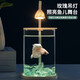 Round household transparent small fish tank desktop 4K ultra-clear desktop fish tank decoration and ornamental one-piece desktop ecological aquarium turtle tank goldfish tank standard square rounded fish tank + light