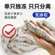 Fishing Travel Notes Qingdao Prawns 3Jin Jin is equal to 0.5kg Clean Shrimp 90-105 Prawns White Shrimp Jiwei Shrimp Fresh Shrimp