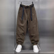 Kuraishi Kazuki trendy brand casual pants men's autumn and winter 2025 new loose casual harem pants handsome plus velvet sports pants brown XL